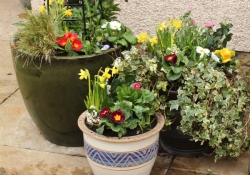 Seasonal Planter 3