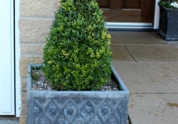 TOPIARY PLANTER