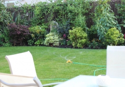 more garden 3