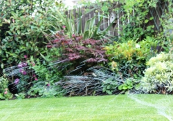 more garden