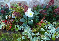 planter add 4